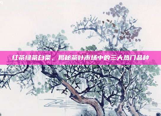 红茶绿茶白菜，揭秘茶叶市场中的三大热门品种