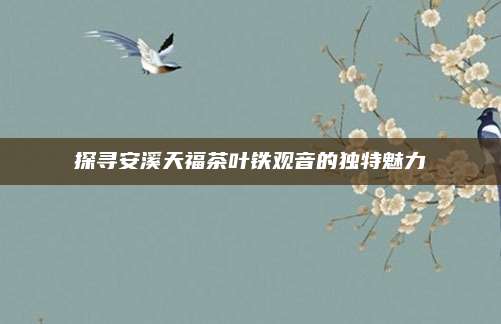 探寻安溪天福茶叶铁观音的独特魅力