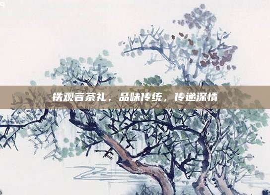 铁观音茶礼，品味传统，传递深情