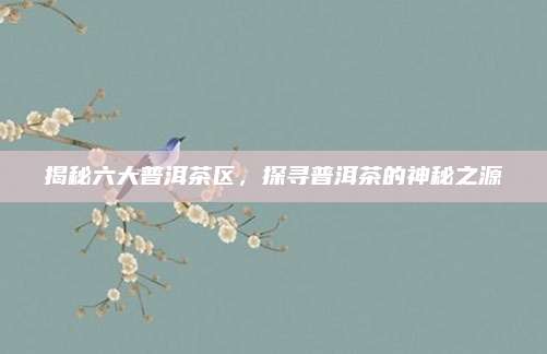 揭秘六大普洱茶区，探寻普洱茶的神秘之源