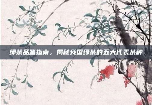 绿茶品鉴指南，揭秘我国绿茶的五大代表茶种