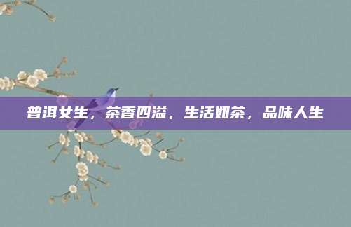 普洱女生,茶香四溢,生活如茶,品味人生