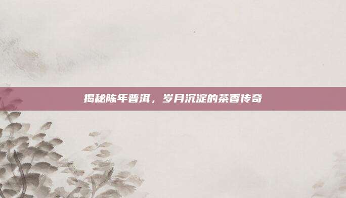 揭秘陈年普洱，岁月沉淀的茶香传奇