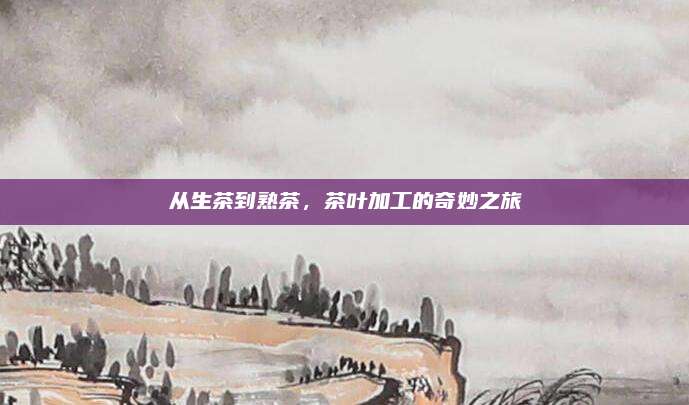 从生茶到熟茶，茶叶加工的奇妙之旅