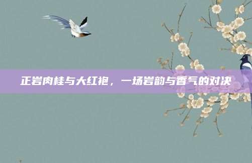 正岩肉桂与大红袍,一场岩韵与香气的对决