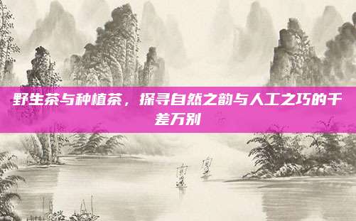 野生茶与种植茶，探寻自然之韵与人工之巧的千差万别