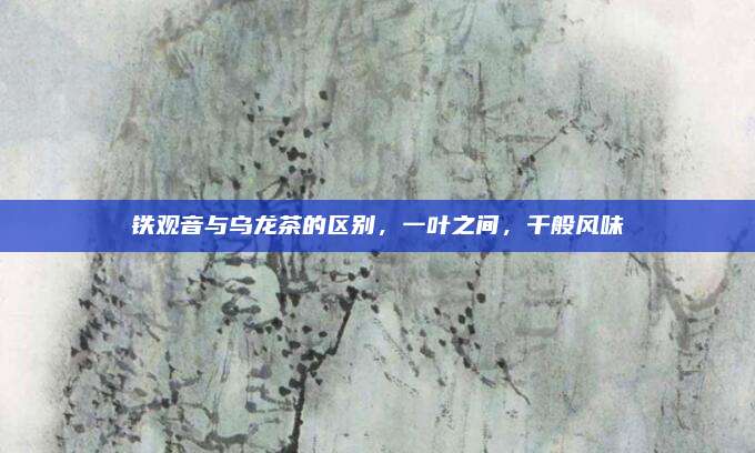 铁观音与乌龙茶的区别，一叶之间，千般风味