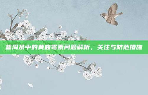 普洱茶中的黄曲霉素问题解析，关注与防范措施