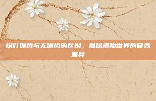树叶锯齿与无锯齿的区别,揭秘植物世界的奇妙差异