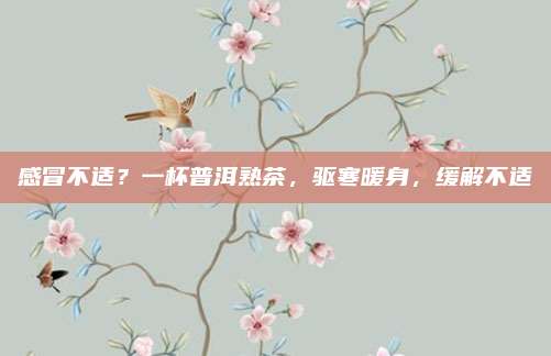 感冒不适？一杯普洱熟茶，驱寒暖身，缓解不适