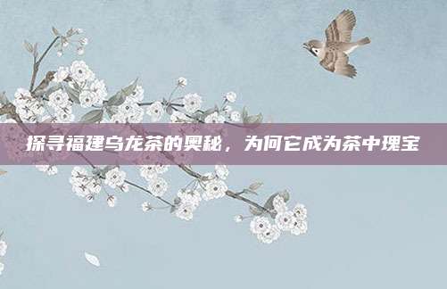 探寻福建乌龙茶的奥秘，为何它成为茶中瑰宝