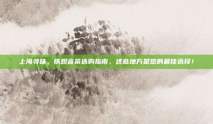 上海寻味,铁观音茶选购指南,这些地方是您的最佳选择!