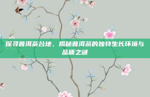 探寻普洱茶台地,揭秘普洱茶的独特生长环境与品质之谜