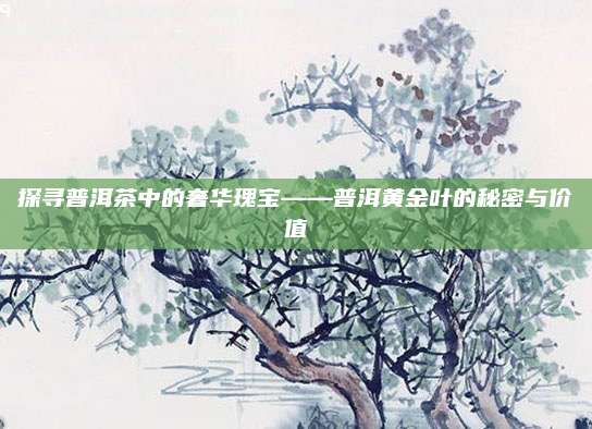 探寻普洱茶中的奢华瑰宝——普洱黄金叶的秘密与价值