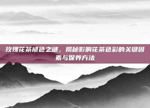 玫瑰花茶褪色之谜，揭秘影响花茶色彩的关键因素与保养方法