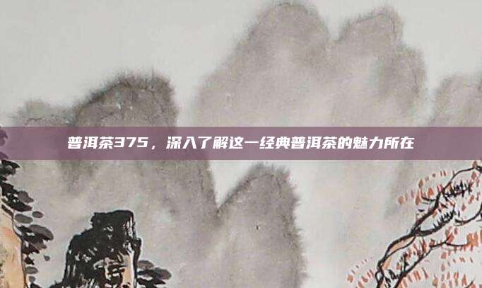 普洱茶375，深入了解这一经典普洱茶的魅力所在