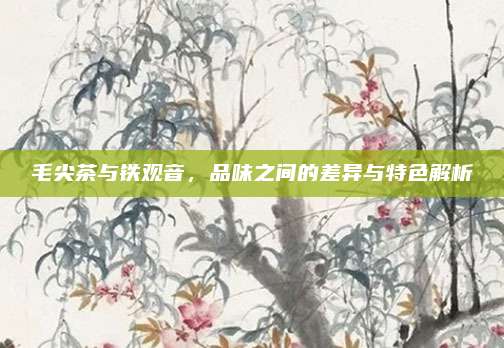 毛尖茶与铁观音，品味之间的差异与特色解析