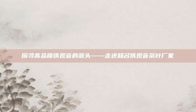 探寻高品质铁观音的源头——走进知名铁观音茶叶厂家