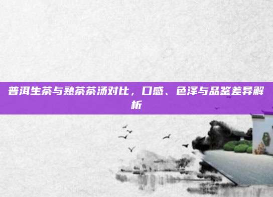 普洱生茶与熟茶茶汤对比,口感、色泽与品鉴差异解析