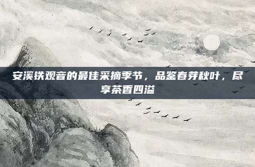 安溪铁观音的最佳采摘季节，品鉴春芽秋叶，尽享茶香四溢