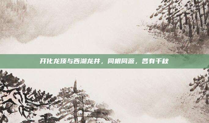 开化龙顶与西湖龙井,同根同源,各有千秋