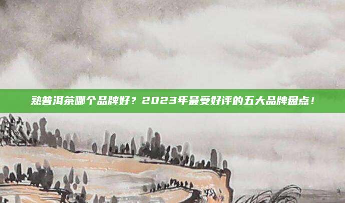 熟普洱茶哪个品牌好?2023年最受好评的五大品牌盘点!