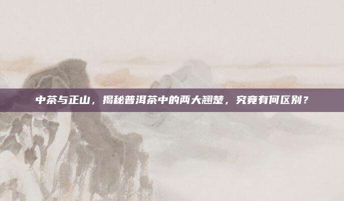 中茶与正山,揭秘普洱茶中的两大翘楚,究竟有何区别?