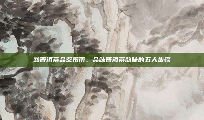 熟普洱茶品鉴指南，品味普洱茶韵味的五大步骤