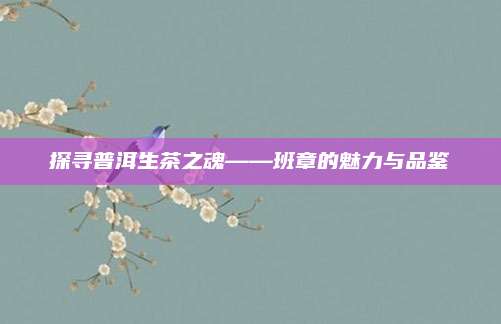 探寻普洱生茶之魂——班章的魅力与品鉴