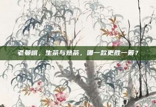 老曼峨，生茶与熟茶，哪一款更胜一筹？
