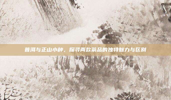 普洱与正山小种，探寻两款茶品的独特魅力与区别