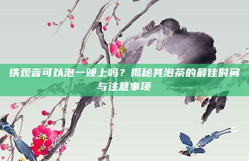 铁观音可以泡一晚上吗？揭秘其泡茶的最佳时间与注意事项