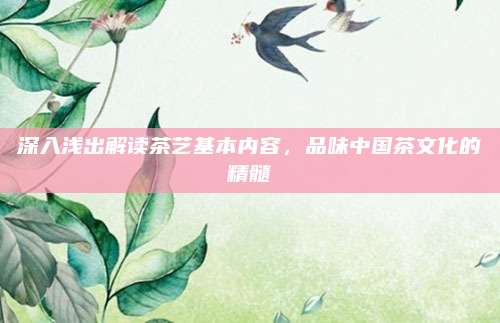深入浅出解读茶艺基本内容，品味中国茶文化的精髓