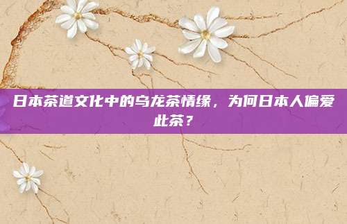 日本茶道文化中的乌龙茶情缘,为何日本人偏爱此茶?