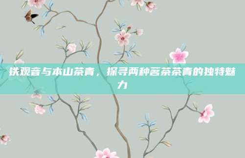 铁观音与本山茶青,探寻两种茗茶茶青的独特魅力