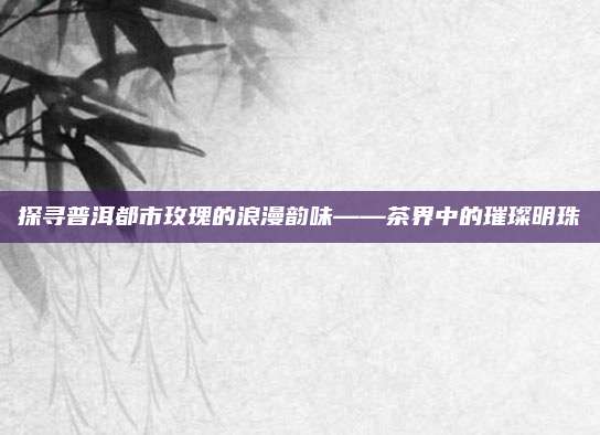 探寻普洱都市玫瑰的浪漫韵味——茶界中的璀璨明珠