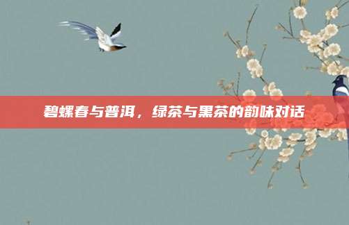碧螺春与普洱，绿茶与黑茶的韵味对话