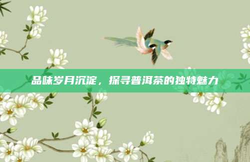 品味岁月沉淀,探寻普洱茶的独特魅力