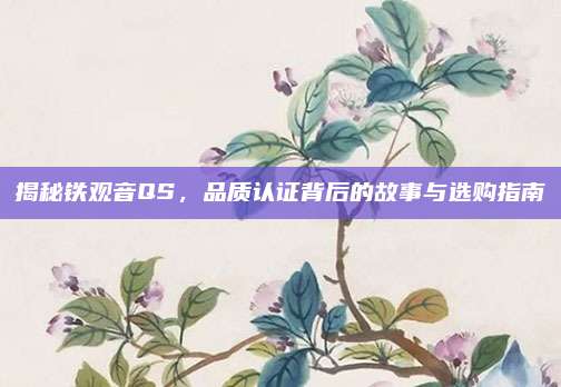 揭秘铁观音QS,品质认证背后的故事与选购指南