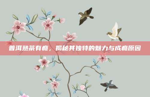 普洱熟茶有瘾，揭秘其独特的魅力与成瘾原因
