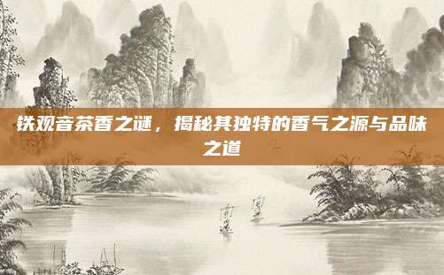 铁观音茶香之谜,揭秘其独特的香气之源与品味之道