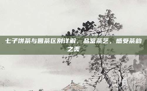 七子饼茶与圆茶区别详解，品鉴茶艺，感受茶韵之美