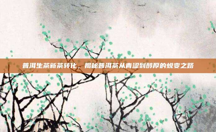 普洱生茶新茶转化，揭秘普洱茶从青涩到醇厚的蜕变之路