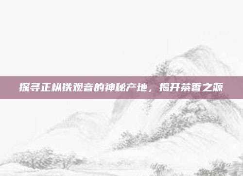 探寻正枞铁观音的神秘产地，揭开茶香之源