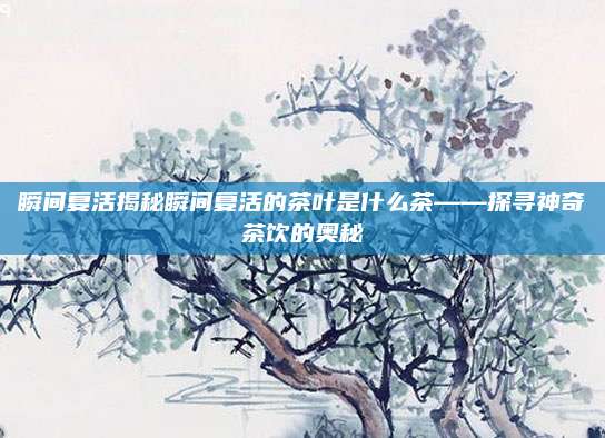 瞬间复活揭秘瞬间复活的茶叶是什么茶——探寻神奇茶饮的奥秘