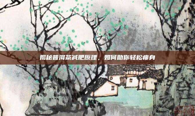 揭秘普洱茶减肥原理,如何助你轻松瘦身