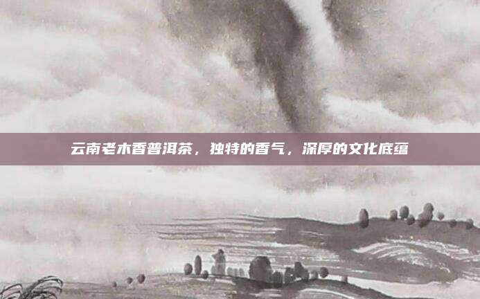 云南老木香普洱茶，独特的香气，深厚的文化底蕴