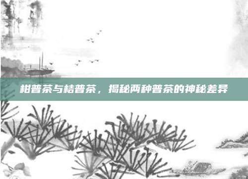 柑普茶与桔普茶，揭秘两种普茶的神秘差异