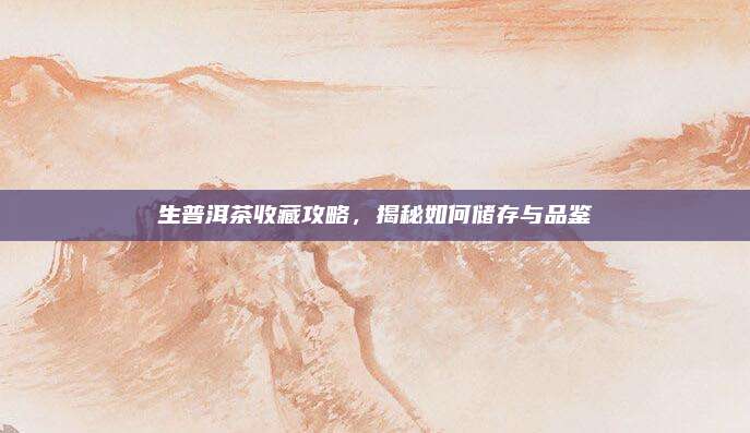 生普洱茶收藏攻略，揭秘如何储存与品鉴