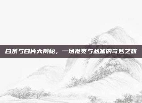 白茶与白片大揭秘,一场视觉与品鉴的奇妙之旅